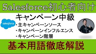 【キャンペーン中級】Salesforce解説【初心者向け】 [upl. by Ynobe]