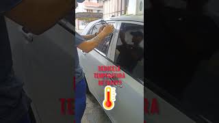 Conoce el polarizado de cristales polarizados auto estéticaautomotiva shorts videoviral [upl. by Brodie75]