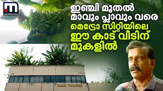 ഇഞ്ചി മുതൽ മാവും പ്ലാവും വരെ മെട്രോ സിറ്റിയിലെ ഈ കാട് വീടിന് മുകളിൽ  Kochi  Terrace Farming [upl. by Deehan324]