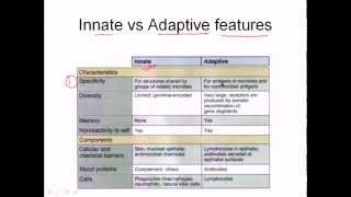 Immunology Basic concept part2innate versus adaptive immunity Bangla [upl. by Randee101]