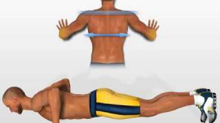 Musculos Pectorales Flexiones Explosivas [upl. by Aiekat]