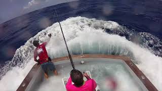 GRANDER 1000 Lbs BLACK MARLIN Go to minute 330 [upl. by Aihsoek]