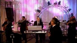 Jewish Wedding Band in Miami Florida playing the Hora [upl. by Nyrhtac]