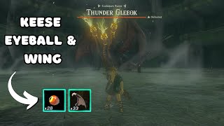 I beat a Thunder Gleeok with only Keese Eyeball and Wing in Tears Of The Kingdom  No Commentary [upl. by Ayiram782]