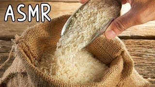 ASMR 舒壓安眠治療  Rice 白米 [upl. by Eimme]