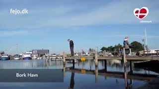 Urlaub am Ringkøbing Fjord in Bork Havn Dänemark [upl. by Emily529]