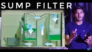 HOW Sump Filter Works In Aquarium  Sump Filter Process And Use In Aquarium  FULL Guide On Sump [upl. by Giavani879]