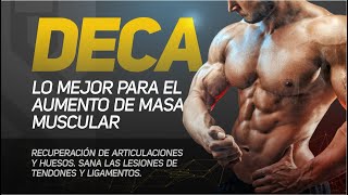 Deca Nandrolona ciclo de aumento de masa muscular decanoato de nandrolona deca durabolin [upl. by Nnylaehs]