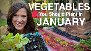 Vegetables You Should Plant NOW In January [upl. by Huda]