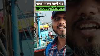 Alibaug 🐟Sakharpaktti Fish Market youtubeshorts fish shorts [upl. by Mylo]