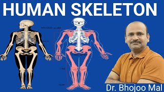 Human Skeleton  Axial Skeleton by Dr Bhojoo Mal [upl. by Enila]