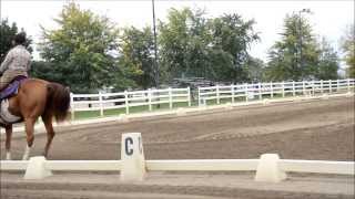 Western Dressage  Freestyle Basic Level [upl. by Kachine410]