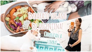 EMBARAZO VEGANO EN ARGENTINA  qué como  conozcan a SIMBA [upl. by Kylen963]