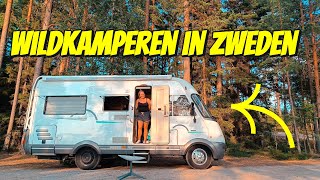 WILDKAMPEREN MET DE CAMPER AAN EEN MEER IN ZWEDEN 206 [upl. by Kjersti]