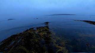 Sea Duck Hunting Maine Mixed Bag [upl. by Birdie225]