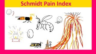 Schmidt Pain Index Bees Wasps Ants And Their Stings [upl. by Shanan]