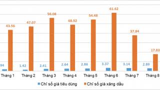 KTDC  Tác động của việc giá xăng tăng lên ảnh hưởng đến người dân [upl. by Udele]