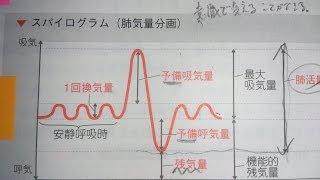 看護学生講座 142 呼吸器 ｢肺気量とは？ １回換気量･残気量など含めて説明｣ [upl. by Nennerb]