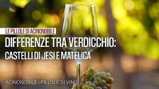 Differenze tra Verdicchio dei Castelli di Jesi e Verdicchio di Matelica [upl. by Nyad]