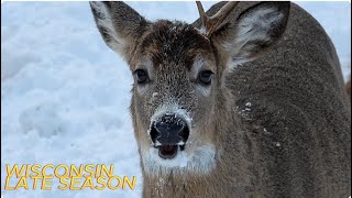 Late Season Deer Hunting  Wisconsin 2023 [upl. by Lehteb]