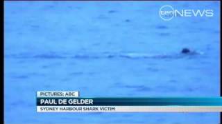 Shark Mauls Navy Diver [upl. by Kilah]