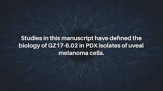 GZ17602 Kills PDX Isolates of Uveal Melanoma  Oncotarget [upl. by Laddy]