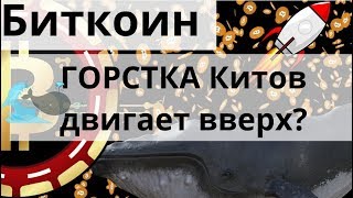 Биткоин Двигает вверх ГОРСТКА Китов думает он и 100 000 за Litecoin на Binance [upl. by Sined]