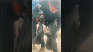 swfarrier farrier horse farriersoftiktok shoeing nailing BurberryTB foryoupage [upl. by Raychel]