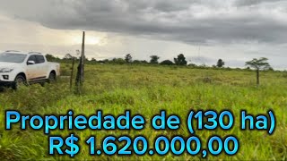 Fazenda a venda no sul do Pará em Conceição do Araguaia PA  130 ha [upl. by Wernick453]