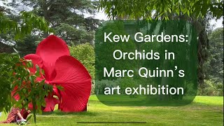 Orchids Kew Gardens Marc Quinn’s exhibition 04062024 [upl. by Birk]