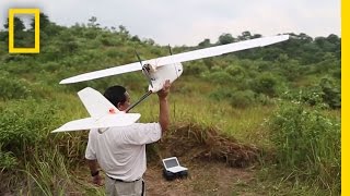 Onward Drones Overhead — Protecting Orangutans from Above  National Geographic [upl. by Harts]