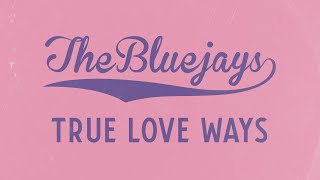 True Love Ways  Buddy Holly Cover  The Bluejays [upl. by Neeven]