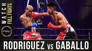 Rodriguez vs Gaballo FULL FIGHT December 19 2020  PBC on SHOWTIME [upl. by Nitaf]