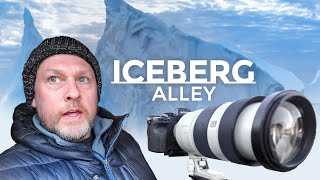 Who Needs Antarctica For Icebergs Iceberg Alley Newfoundland [upl. by Nylsirk323]