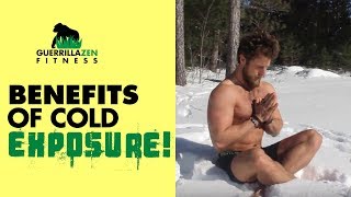 TOP 3 PROVEN BENEFITS of COLD EXPOSURE  Cold Showers Ice Baths Polar Plunging [upl. by Nosidam535]