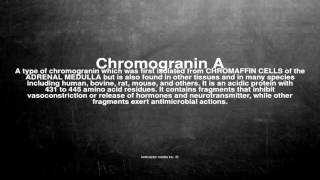 Medical vocabulary What does Chromogranin A mean [upl. by Haddad]