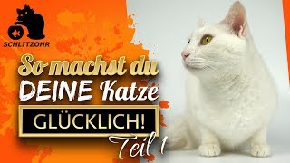 🔥So machst du deine Katze glücklich  5 Tipps  Teil 1 von 3 [upl. by Nedloh]