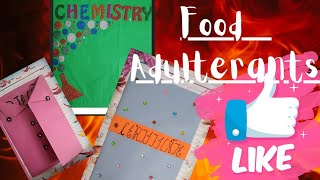 Chemistry Investigatory Project File Class 12  Food Adulterants  Pdf link in description cbse [upl. by Emelia]