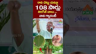 రావి చెట్టు చుట్టూ 108 సార్లు తిరిగితే చాలు 💯 Dr Khadar Vali Open Challenge  PMC Health [upl. by Dorene]