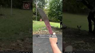 Time to sharpen my machete again diy maker homestead machete sharpen chopping [upl. by Nodla]