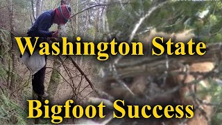 Bigfoot Success in Washington State USA [upl. by Amaso]