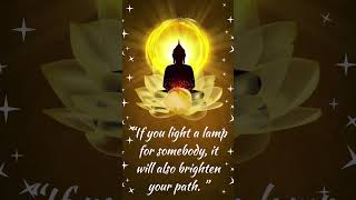 Buddha Quotes  Gautam Buddha Quotes About Life  Inspirational And Motivational Quotes Of Buddha [upl. by Stein]