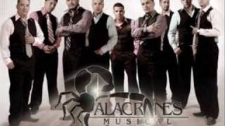 Alacranes Musical Ft Espinoza PazComo Una Gelatina 2009Completa [upl. by Sulihpoeht]