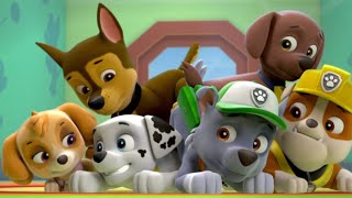 Paw Patrol new series  Щенячий патруль новые серии [upl. by Froma]