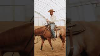 My favourite reining exercise for beginners [upl. by Graham983]