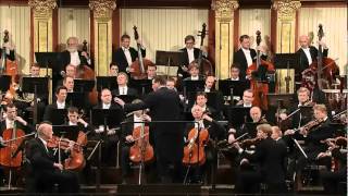 Beethoven Sinfonia 5 [upl. by Harland606]