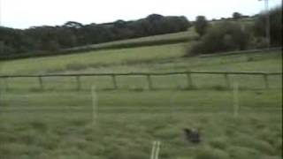 LOWBRIDGE FARM CAMPSITE  BREMHILL  WILTSHIRE  ENGLAND [upl. by Rushing]