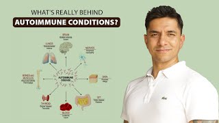 Identifying amp Understanding Autoimmune Conditions For Better Health [upl. by Ailem927]