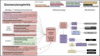 Glomerulonephritis mechanism of disease [upl. by Adlay660]