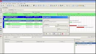 Primavera P6 Save a layout [upl. by Courtnay200]